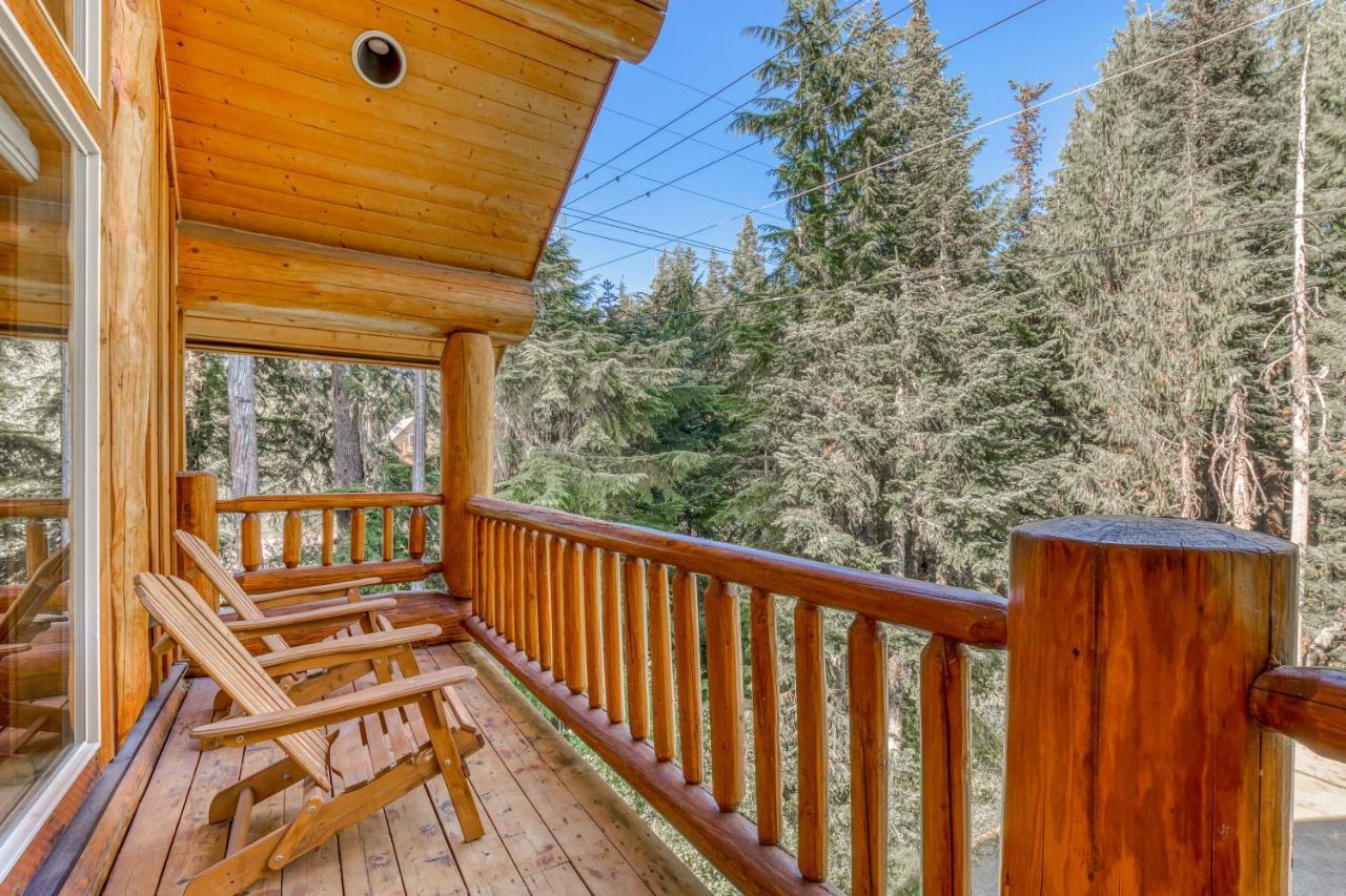 Skiing Bear Chalet Government Camp Ngoại thất bức ảnh